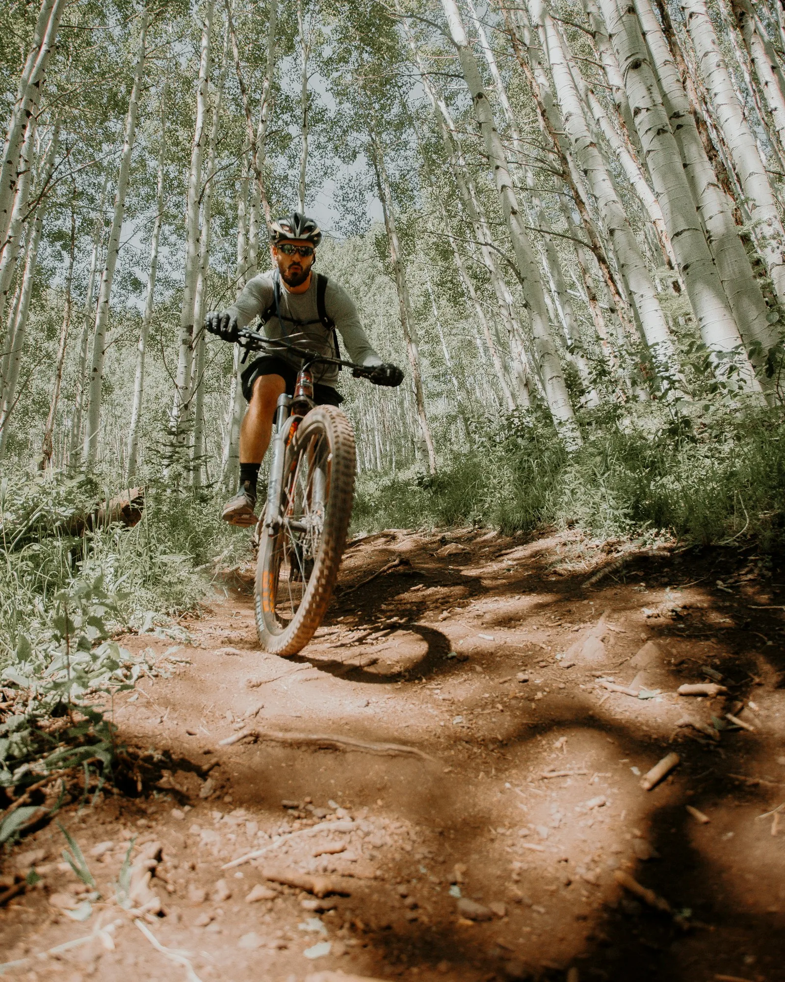 Mountain biking the Marin Trail in the Gwydir Forest