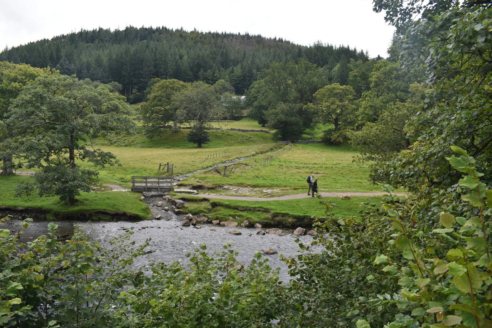 Walkers and a dog on a riverside path at Betws-y-Coed with the Gwydir Forest behind